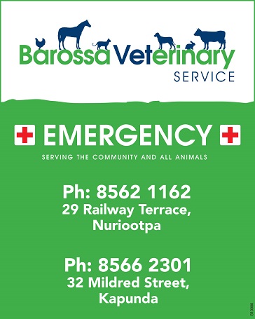 banner image for Barossa Veterinary Service