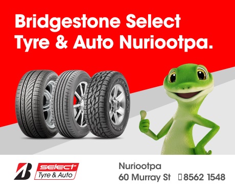 banner image for Bridgestone Select Nuriootpa
